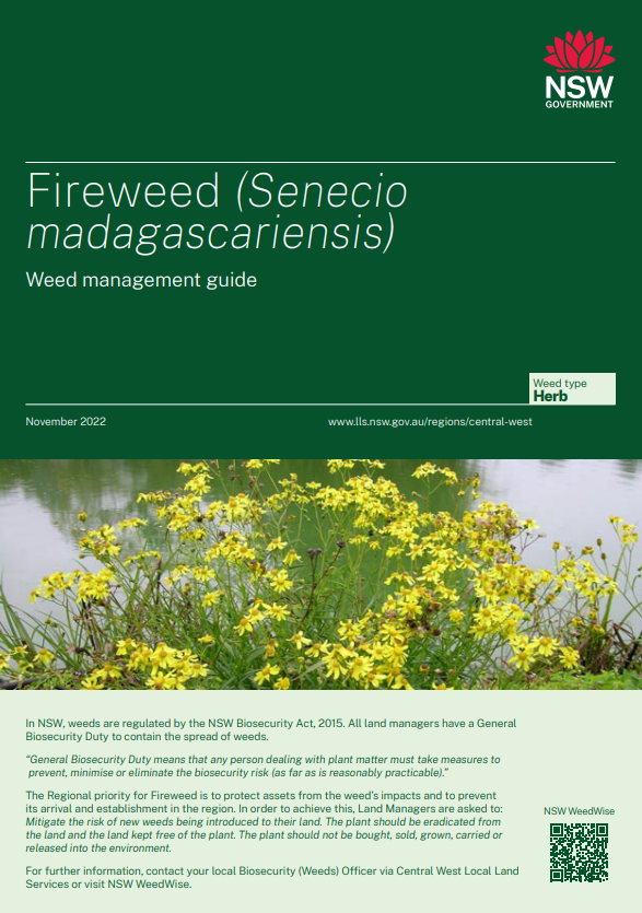 Fireweed