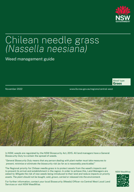 Chilean Needle Grass