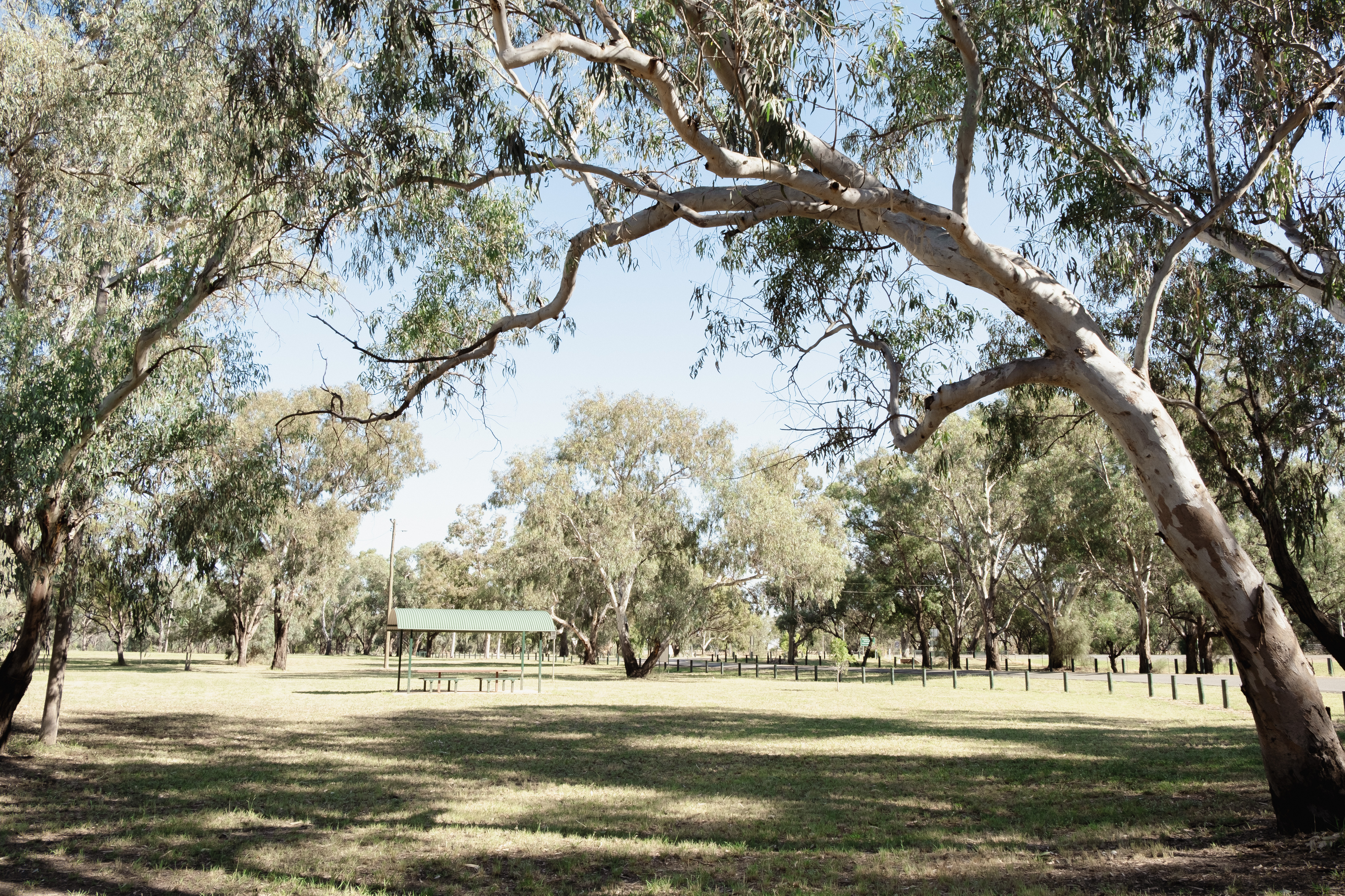 Rotary Park