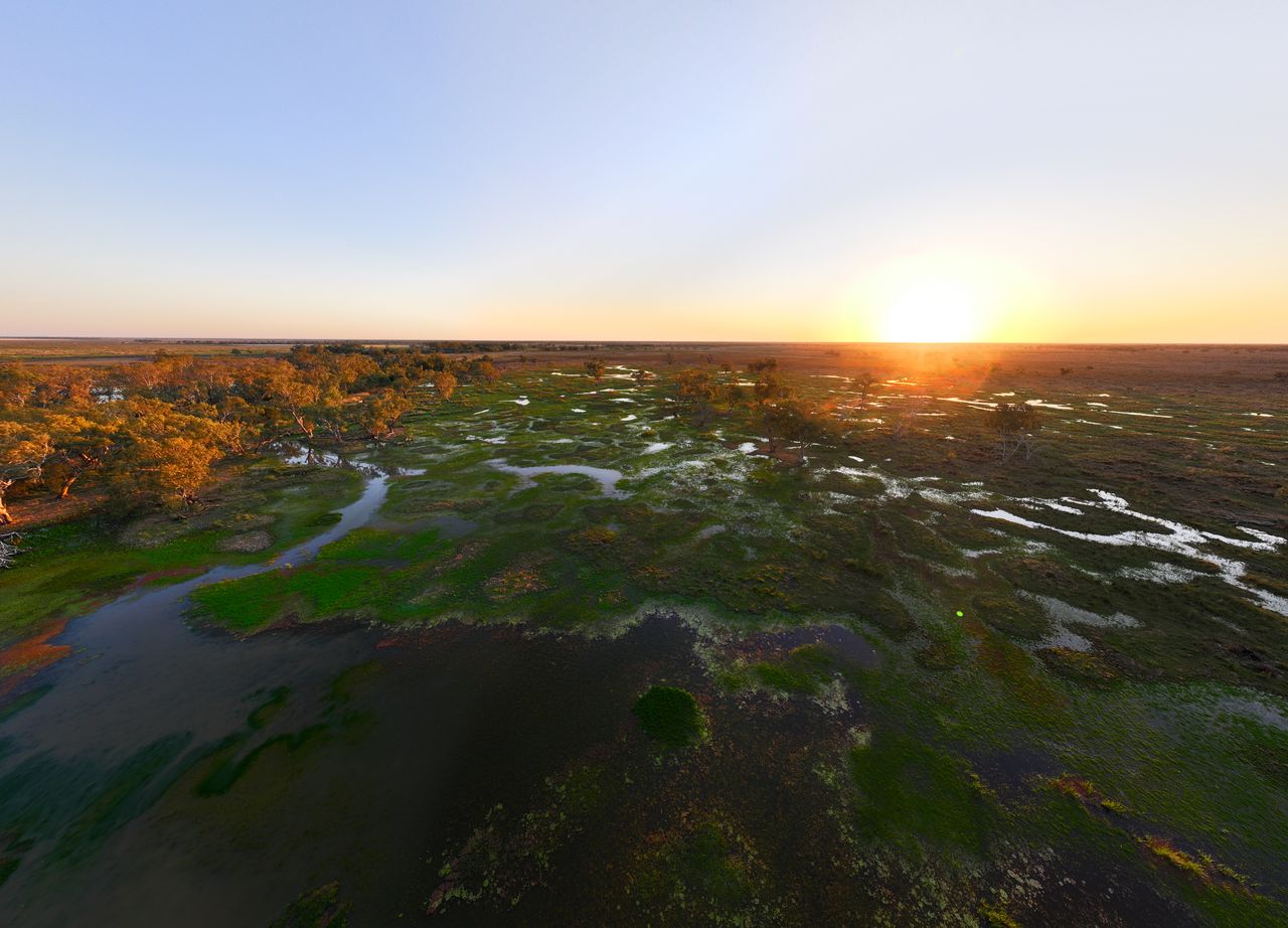 Marshes