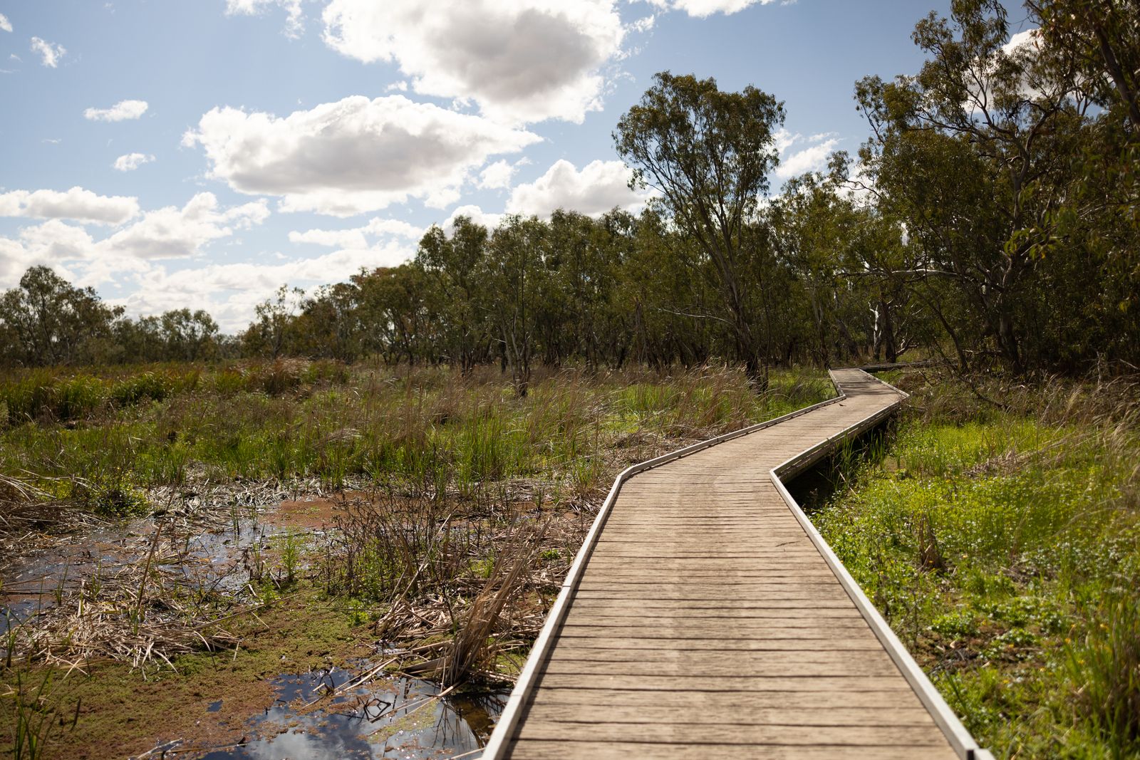 Nature walk