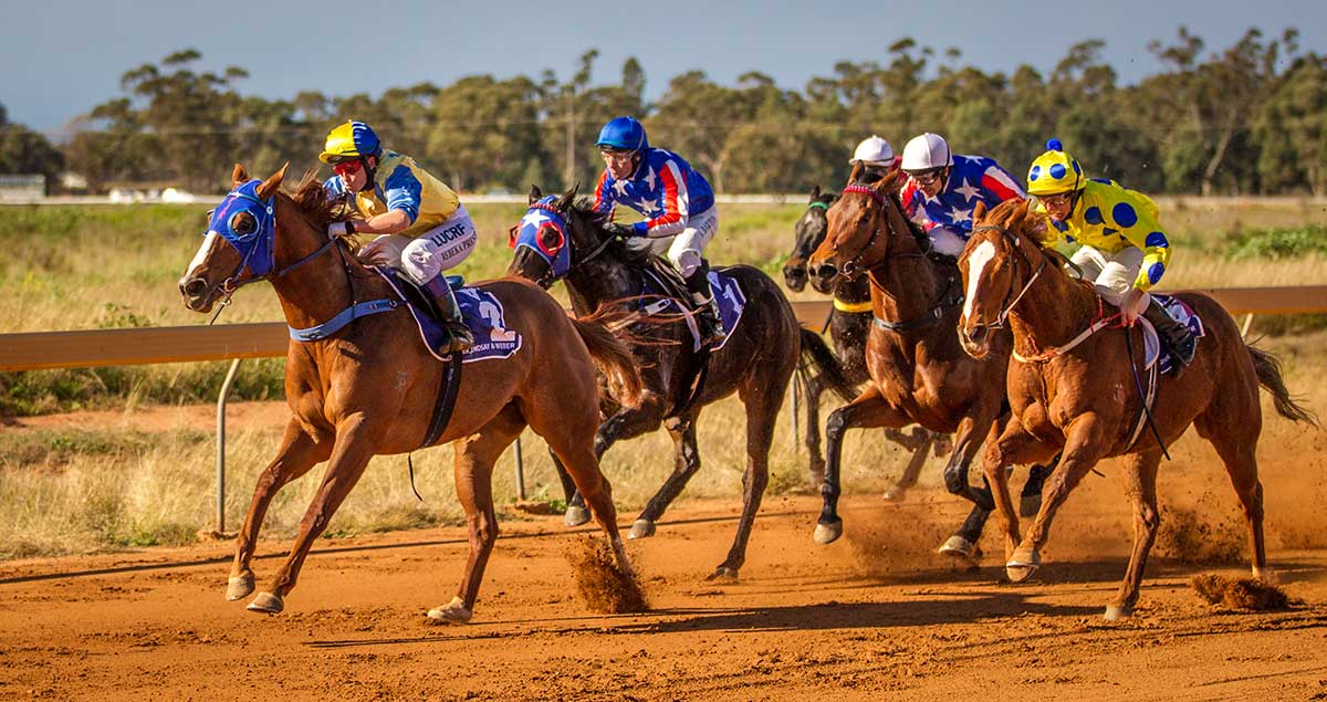 Horse Race